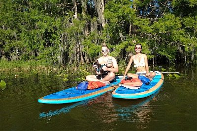 Paddle board or kayak with Bunny & Pups in Paradise