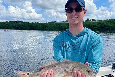 Half-day Private Inshore Fishing in Sarasota