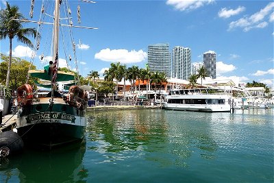 Private Miami Tour with Transportation and Sandwich Tasting