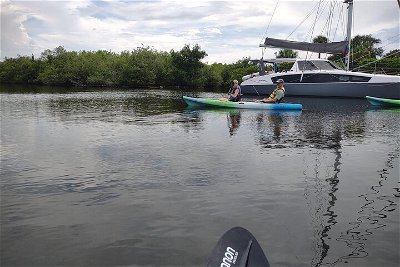 Manatee Cove 1-Hour Single Kayak Rental
