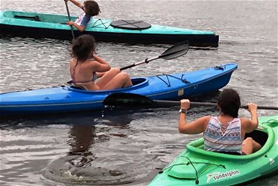 The Ultimate Kayak Experience in the lakes, The Bayshore Arts District in Naples