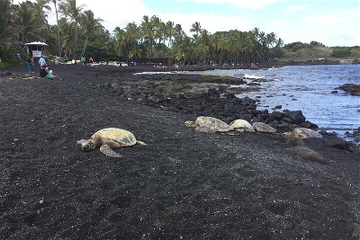 Kilauea Summit to Shore from Kona: Small Group