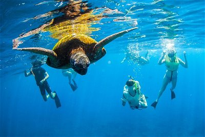 Ultimate South Island Zodiac Boat Snorkel Adventure in Kauai