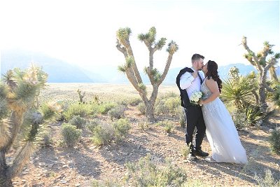 Red Rock Canyon Wedding by Private Limousine