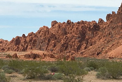 1 Day Tour at Valley of Fire and Zion Park