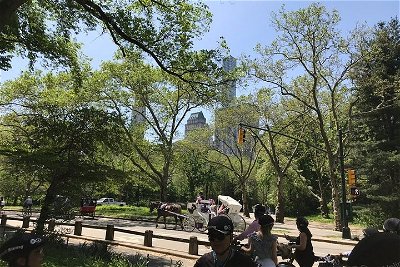 NYC Central Park Rollerblade Rental
