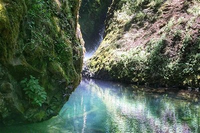 Half-Day Columbia River Gorge and Waterfall Hiking Tour