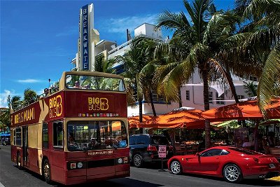 Big Bus Miami Hop-On Hop-Off Open Top Tour