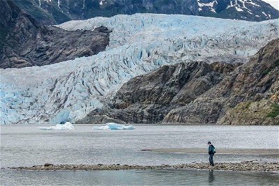 Premier Whale Watch and Mendenhall Glacier Combo