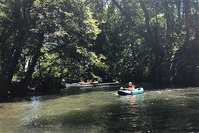 Rogue River Scenic Float