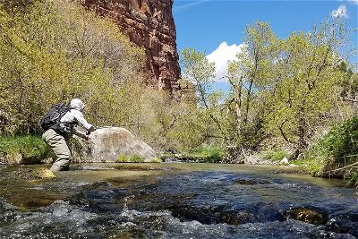 Guided Fly Fishing Experience