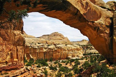5-Day Tour in Utah visiting 7 National Parks