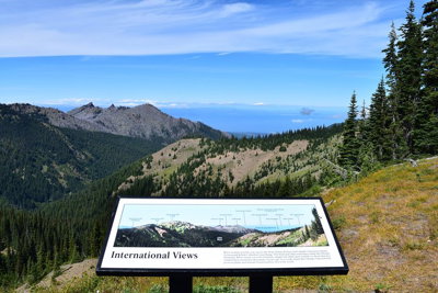 Hurricane Ridge Guided Tour in Olympic National Park