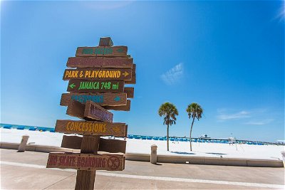 Clearwater Beach Deep Sea Fishing Adventure with Lunch & Transport From Orlando