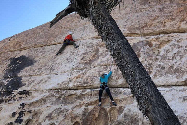 Beginner Group Rock Climbing in Joshua Tree National Park - Accommodation Texas