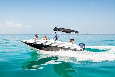 2Hr Private Boat Tour Miami Beach, Captain & Champagne, See the Island & Sandbar