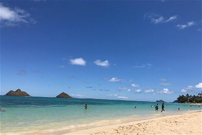 Kailua Beach Adventure- Snorkel and Boogie Board excursion