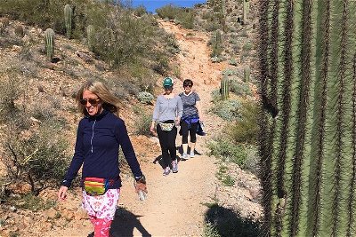 Amazing 2-Hour Guided Hiking Adventure in the Sonoran Desert