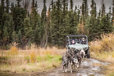 Private Fall Foliage Mushing Cart Ride in Fairbanks