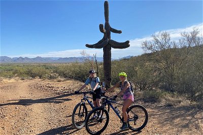 3 Hour Sonoran Desert Guided Mountain Bike Tour