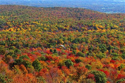 Private Hudson Valley Fall Foliage Helicopter Charter from Manhattan(3-5 People)