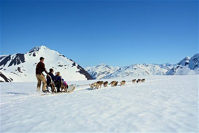 Summer Glacier Dogsledding Tour from Girdwood