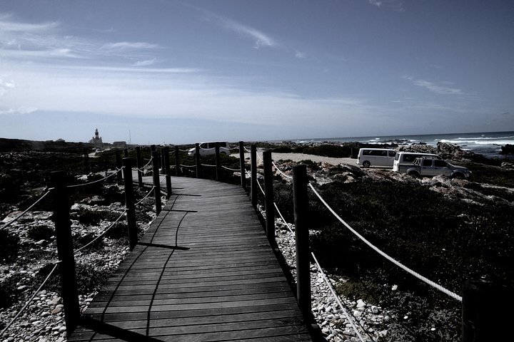 Cape Agulhas Small Group Tour - thumb 2