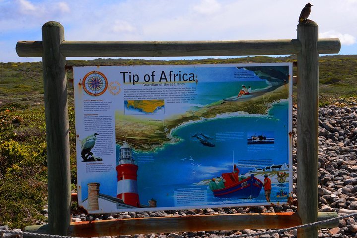 Cape Agulhas Small Group Tour - thumb 4