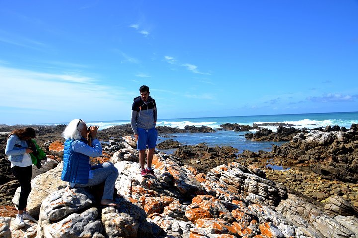 Cape Agulhas Small Group Tour - thumb 5