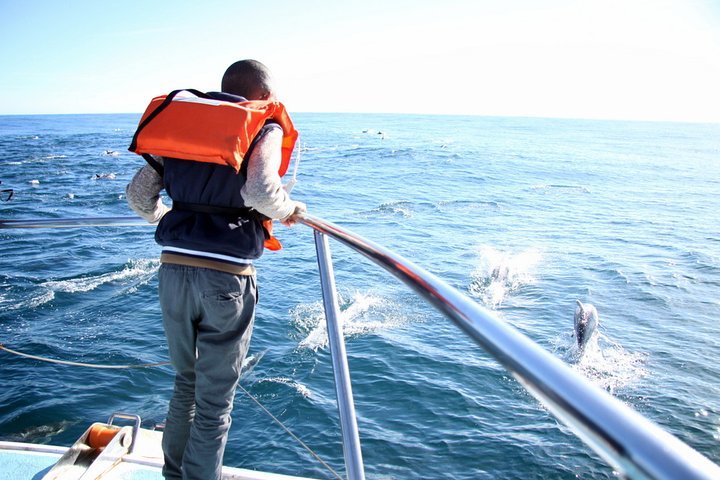 Whale Watching from Gansbaai