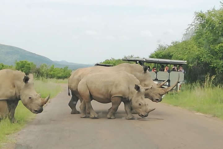 Kruger National Park 3 Days 2 Nights Classic Safari From Johannesburg Private - thumb 3