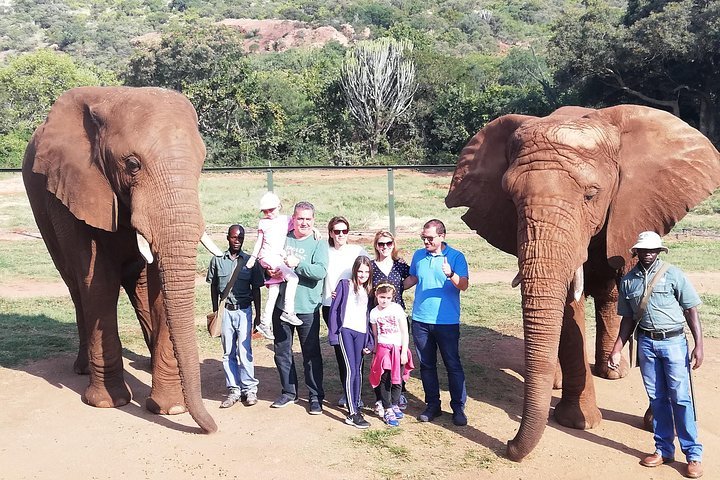 Elephant Walk Guided Tour From Johannesburg R2150 Private - thumb 1