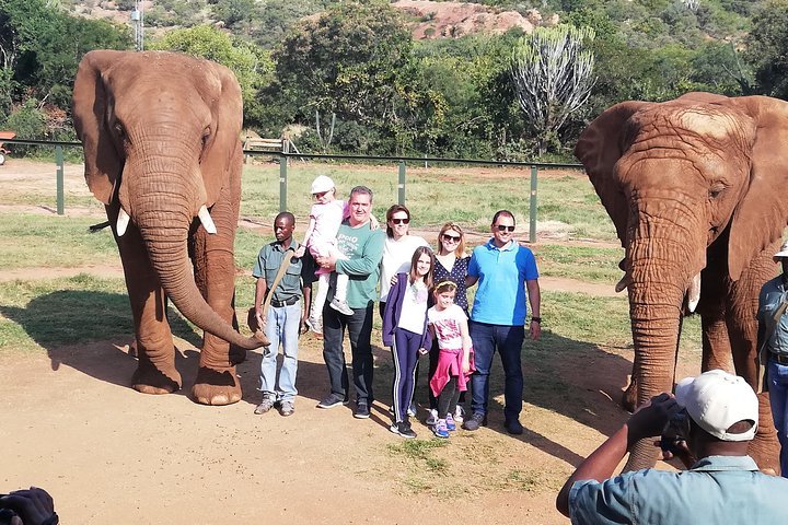 Elephant Walk Guided Tour From Johannesburg R2150 Private - thumb 2