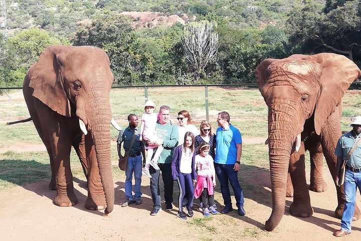 Elephant Walk Guided Tour From Johannesburg R2150 Private - thumb 4