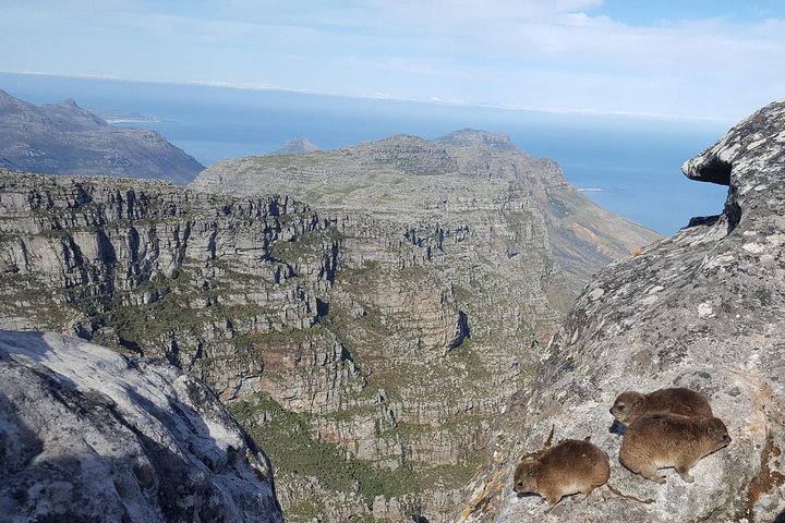Table Mountain And Robben Island - Luxury Private Tour (Max 3 Persons) - thumb 1