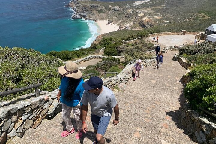 Seal Island Private Tour With Penguins, Cape Point & Table Mountain. - thumb 4