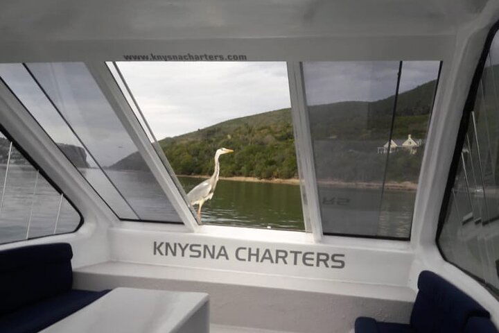 Knysna Lagoon Boat Cruises - thumb 1