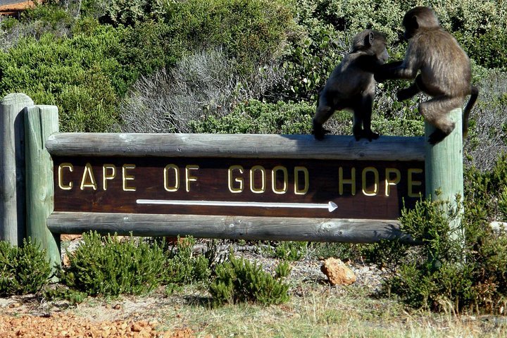Cape Of Good Hope, Cape Point & Penguins Private Customizable Afternoon Tour - thumb 4