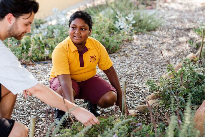 Green A Township School / NGO: Plant Trees & Greenery - thumb 2