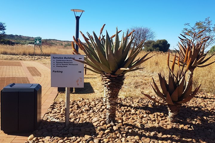 The Cradle Of Humankind Experience - thumb 5