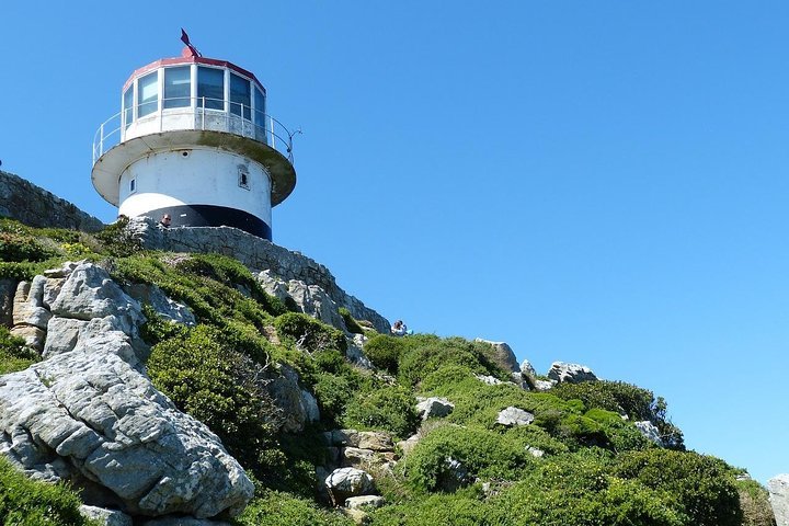 Cape Of Good Hope And Boulder's Penguins Full Day Private Tour From Cape Town - thumb 2