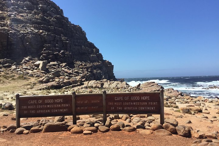 Cape Of Good Hope-Penguin-Private Tour Combined With Wine Tasting Full Day Tour - thumb 2