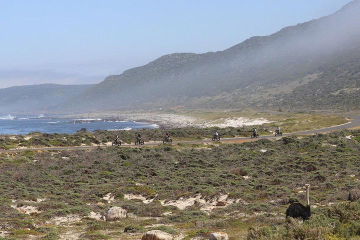 E-Bike Cape Peninsula Tour - thumb 2