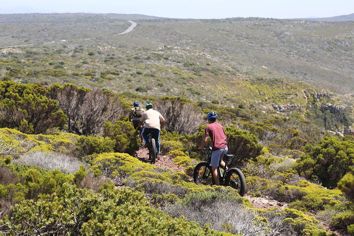 E-Bike Cape Peninsula Tour - thumb 3