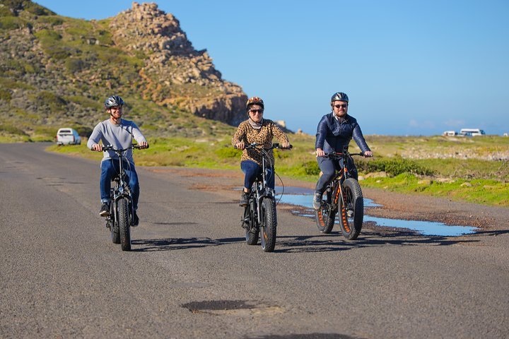 E-Bike Cape Peninsula Tour - thumb 4