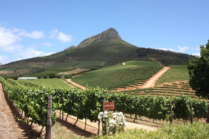 Half-Day Stellenbosch Winelands Tour From Cape Town - thumb 2