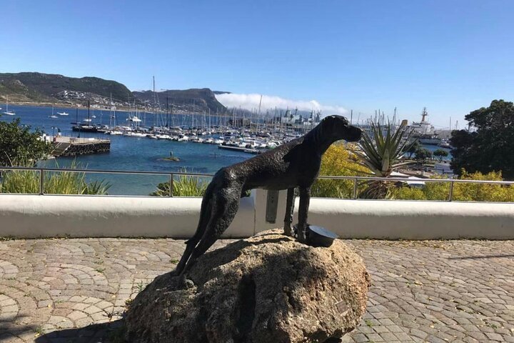 African Penguins, Cape Point & Constantia Wine Tasting Full Day Tour. - thumb 4