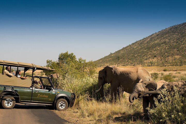 Full Day Ultimate Pilanesberg National Park Safari From Johannesburg Or Pretoria - thumb 3