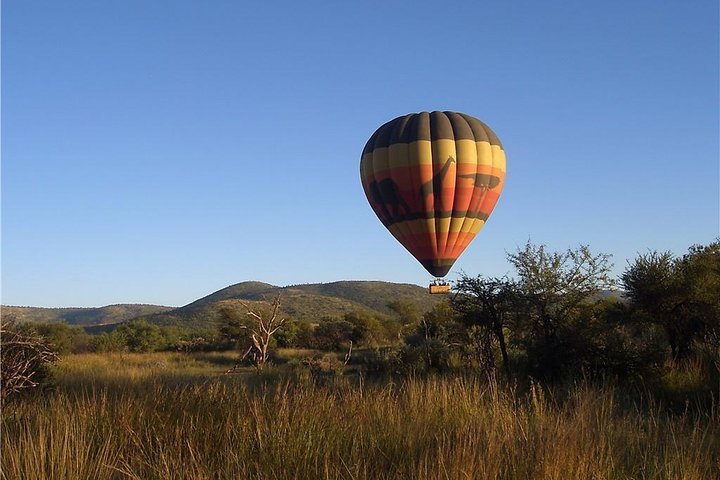 Full-Day Pilanesburg Nature Reserve Tour - Tourism Africa