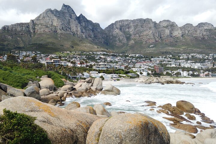 Table Mountain, Penguins & Cape Of Good Hope With Photographs - Full Day Tour. - thumb 5